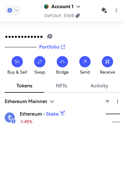 MetaMask Review