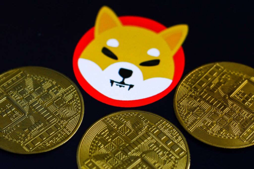 Shiba inu coin