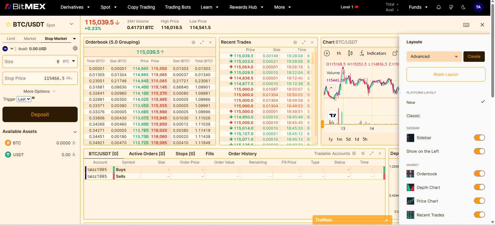 BitMEX Review