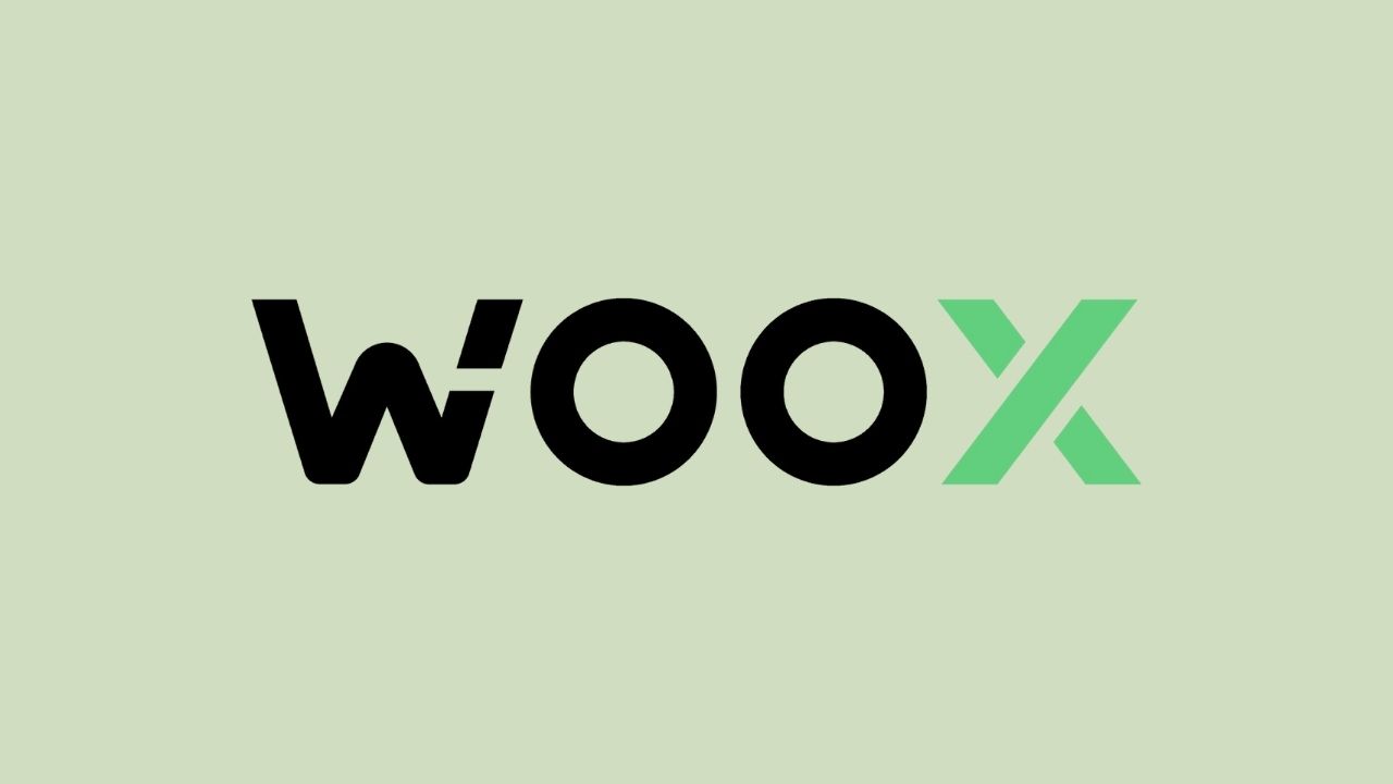 Woo X 2025 年评测– 费用、功能、基本信息等