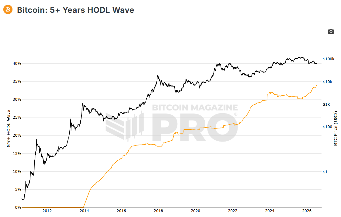 how many people own Bitcoin