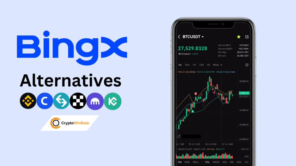 best bingx alternatives options crypto exchange
