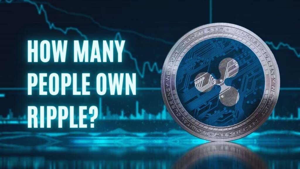 Wie viele Menschen besitzen Ripple?