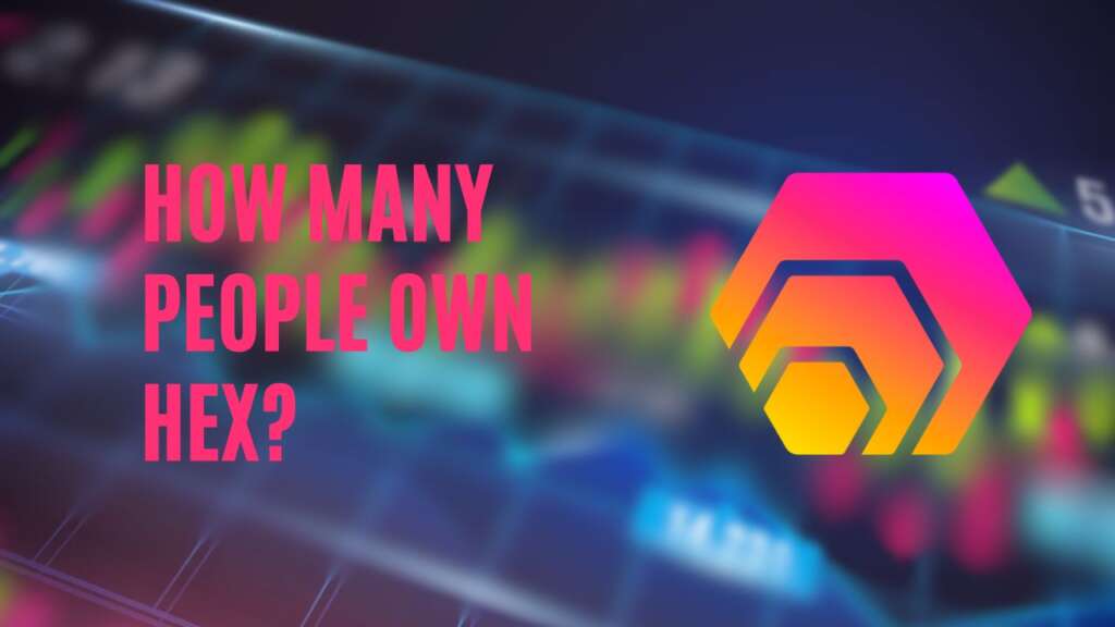 How Many People Own HEX?