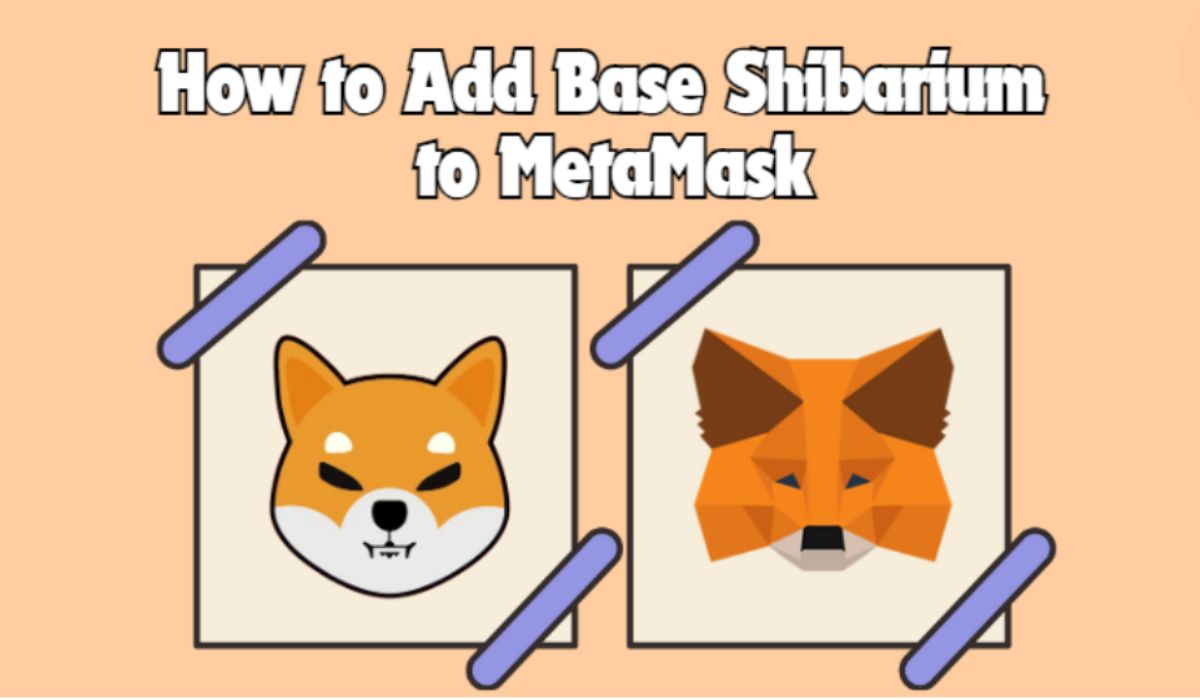 메타마스크에 기본 Shibarium 네트워크를 추가하는 방법 - CryptoWinRate