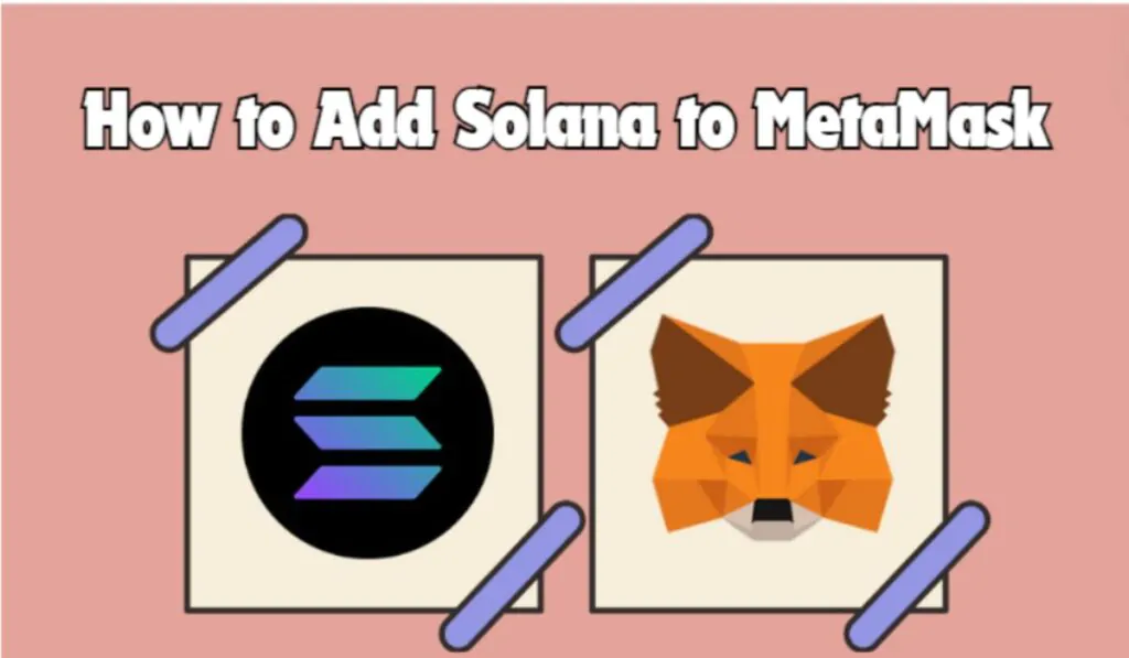 Add Solana Network to MetaMask