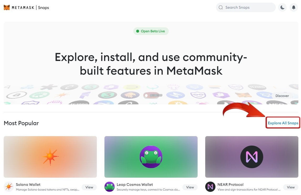install metamask snaps