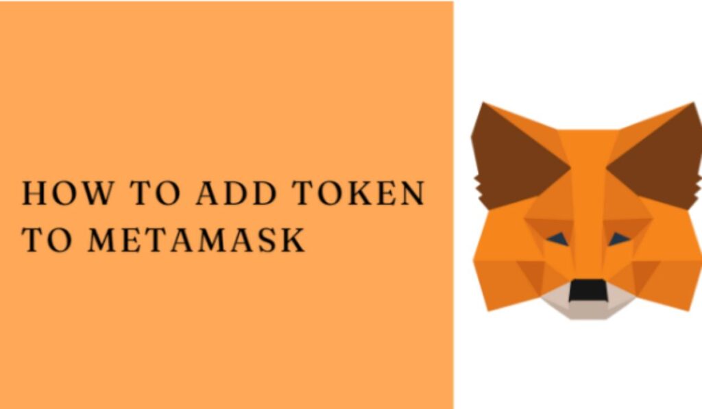 How to Display Tokens on MetaMask