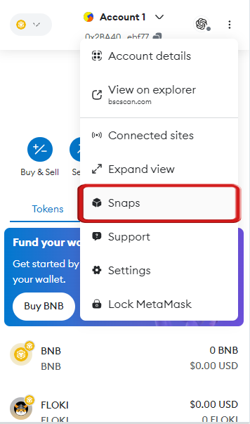 install metamask snaps