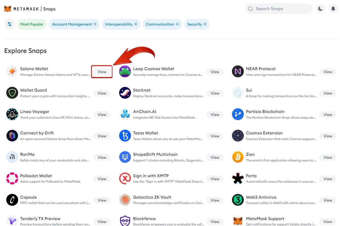 install metamask snaps