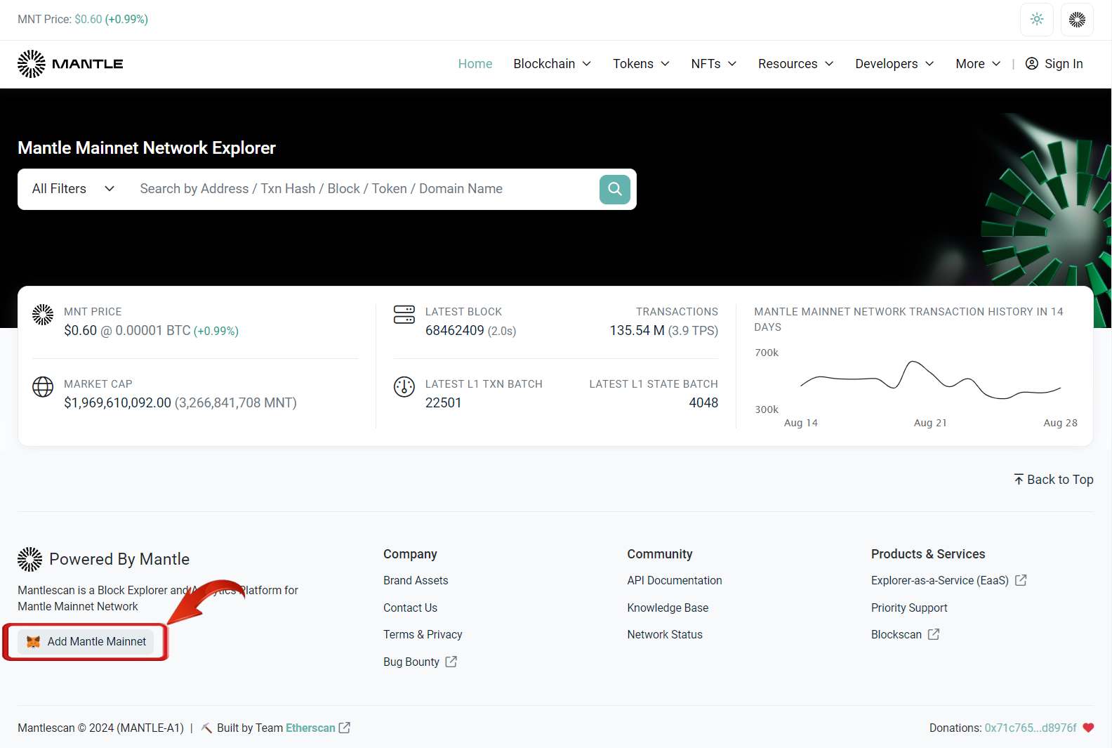 Add Mantle Network to Metamask