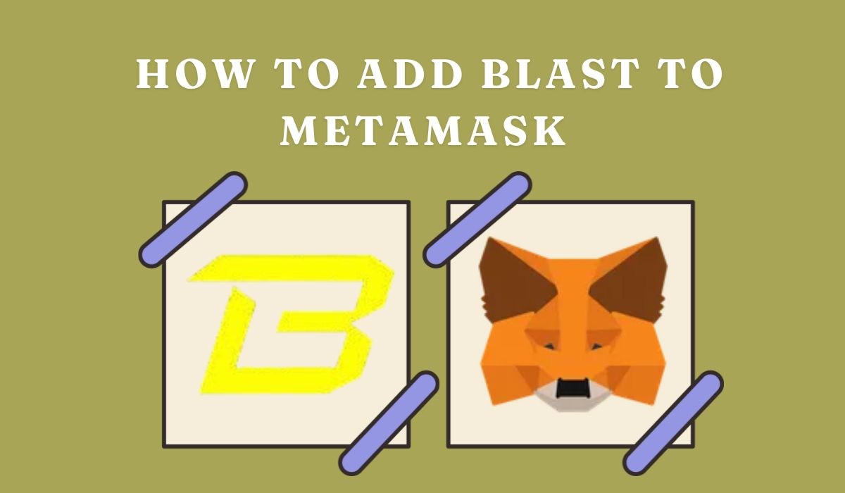 MetaMask に Blast を追加する方法 - CryptoWinRate