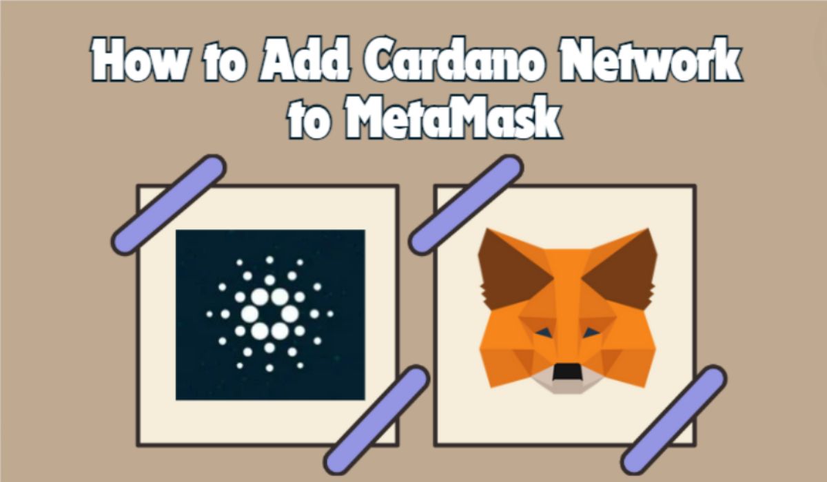 MetaMask에 Cardano 네트워크를 추가하는 방법 - CryptoWinRate