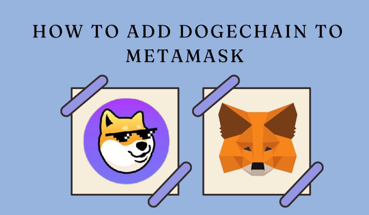 MetaMask에 Dogechain을 추가하는 방법 - CryptoWinRate