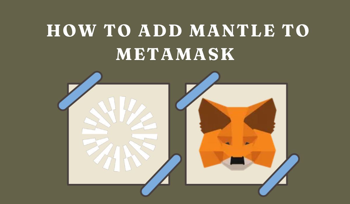 マントルネットワークをMetaMaskに追加する方法 - CryptoWinRate