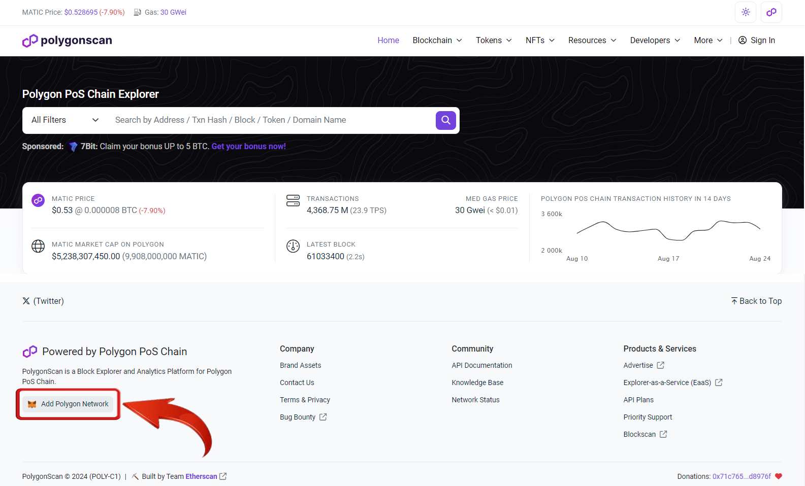 Add Polygon to MetaMask