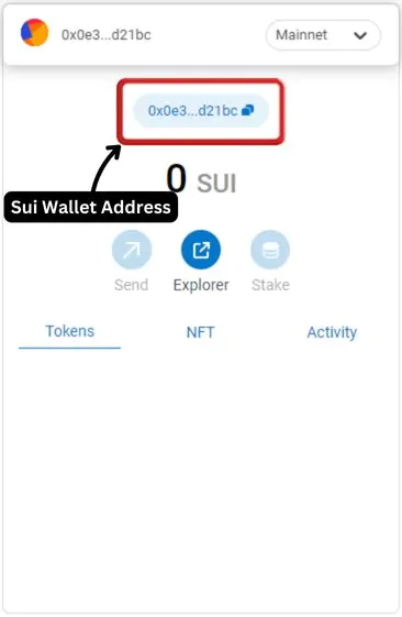 Add Sui to MetaMask