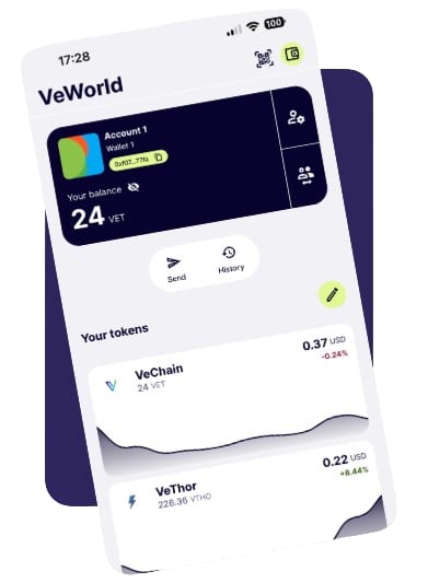 VeChain Network to MetaMask