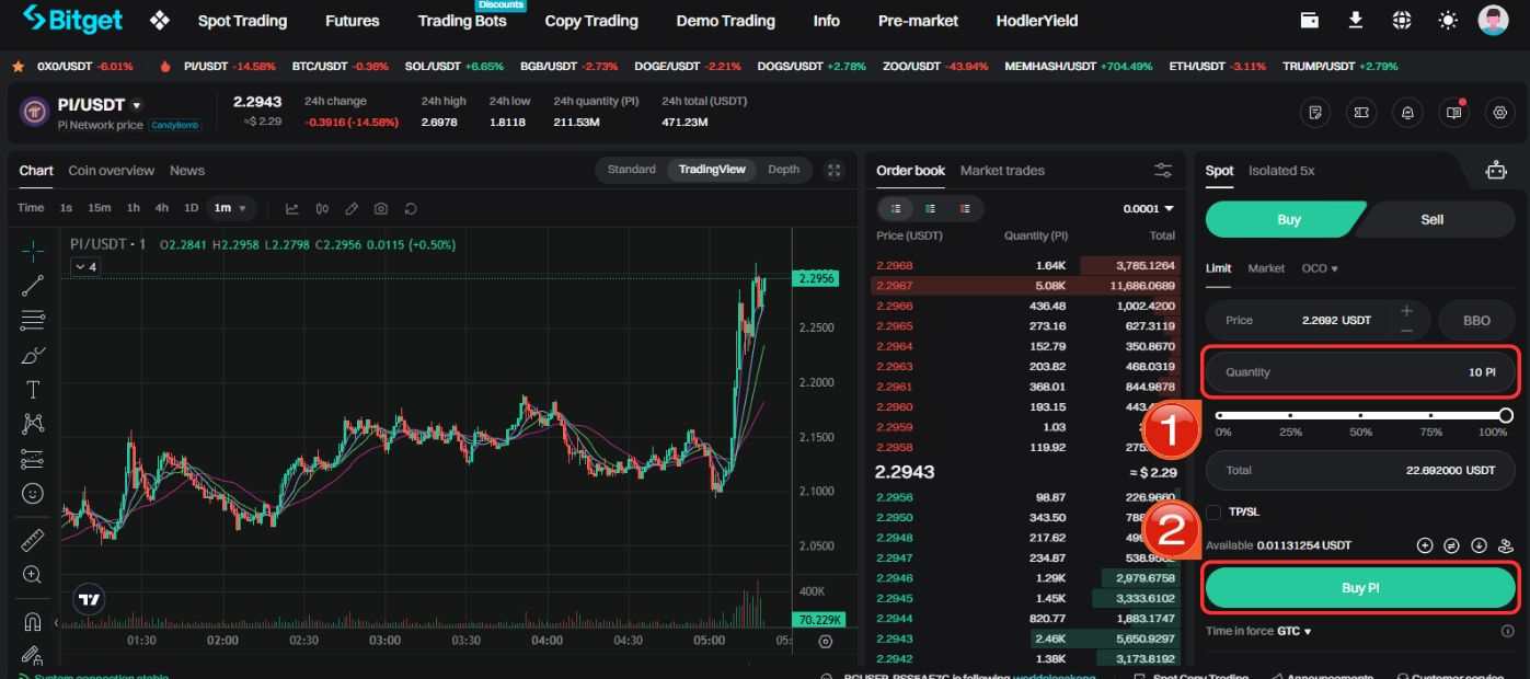 Pi Network