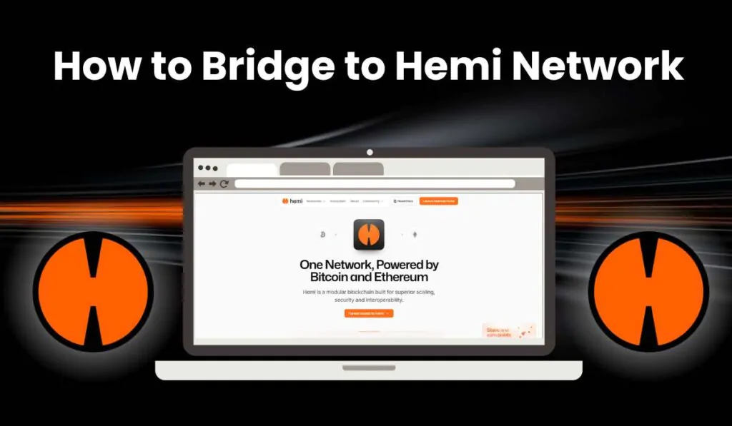 How to Bridge to Hemi network