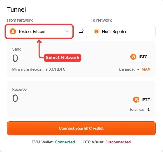 Bridge to Hemi Network