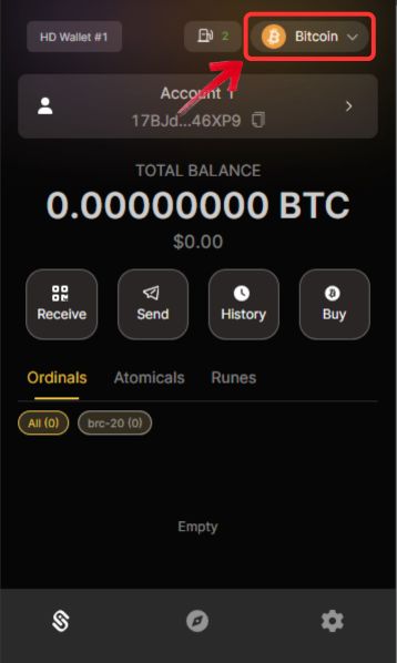 Add Hemi Testnet to MetaMask