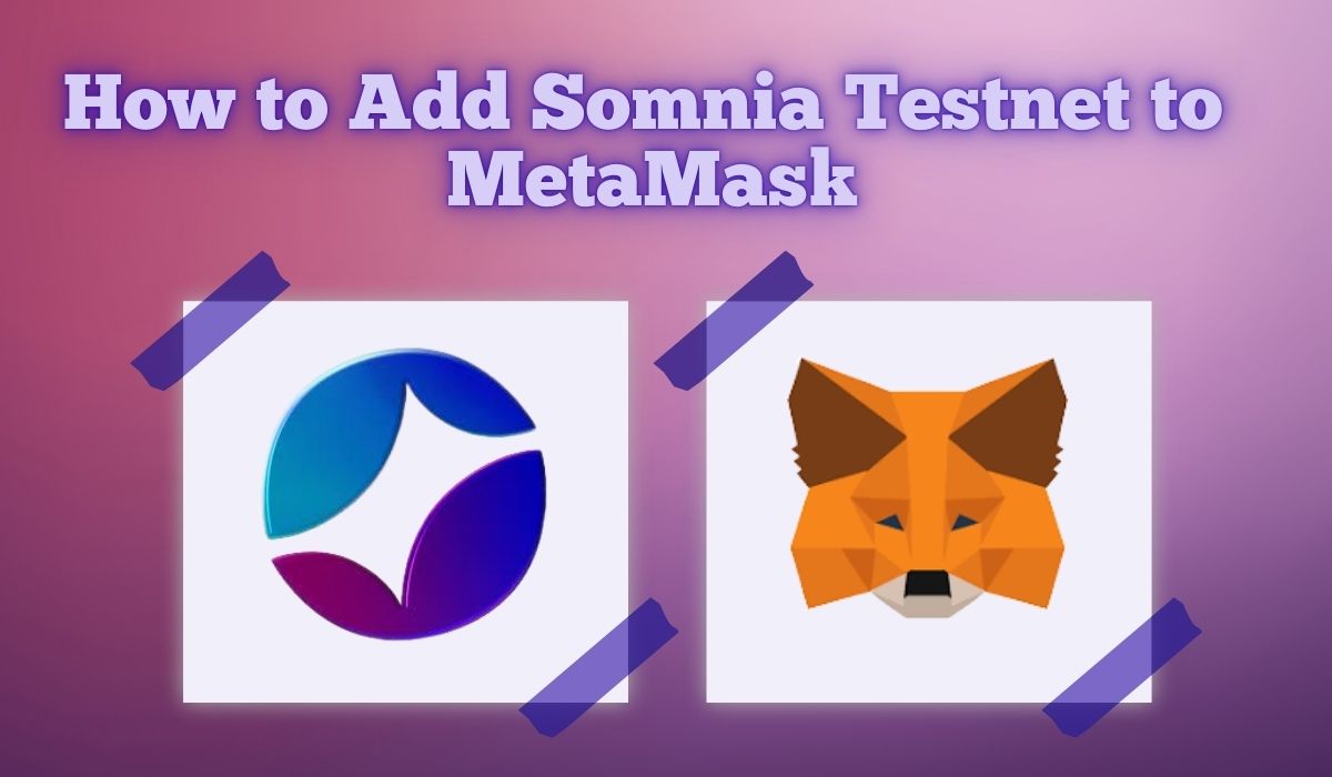 How to Add Somnia Testnet to MetaMask: Quick Setup Guide - CryptoWinRate
