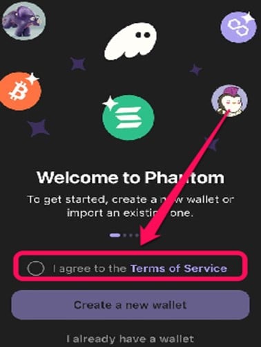 Get Started With the Phantom Wallet