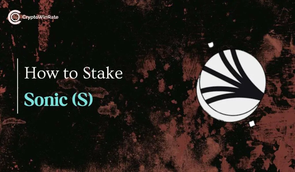 stake S tokens