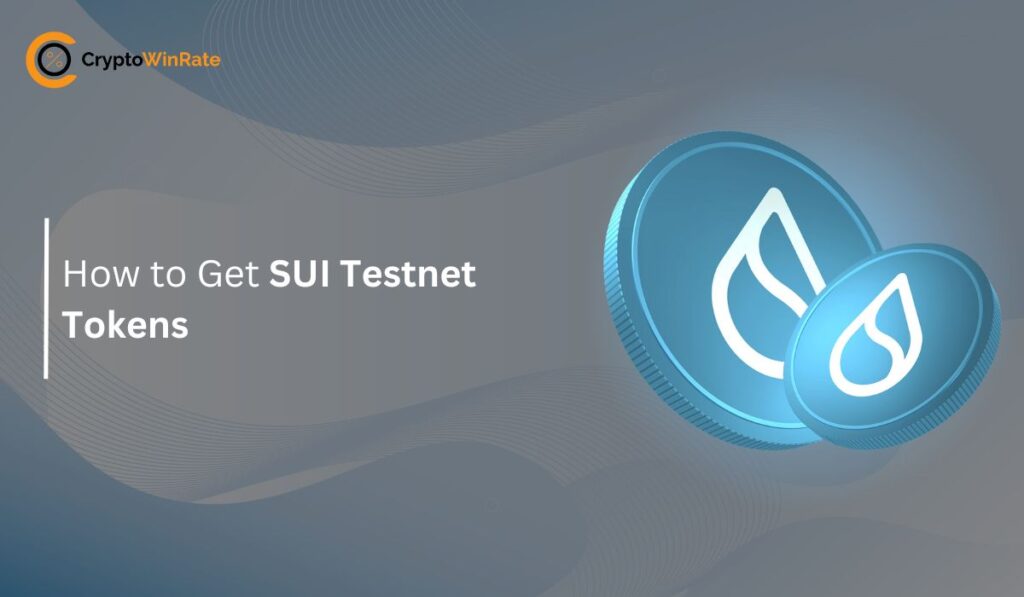 How to Get SUI Testnet Tokens
