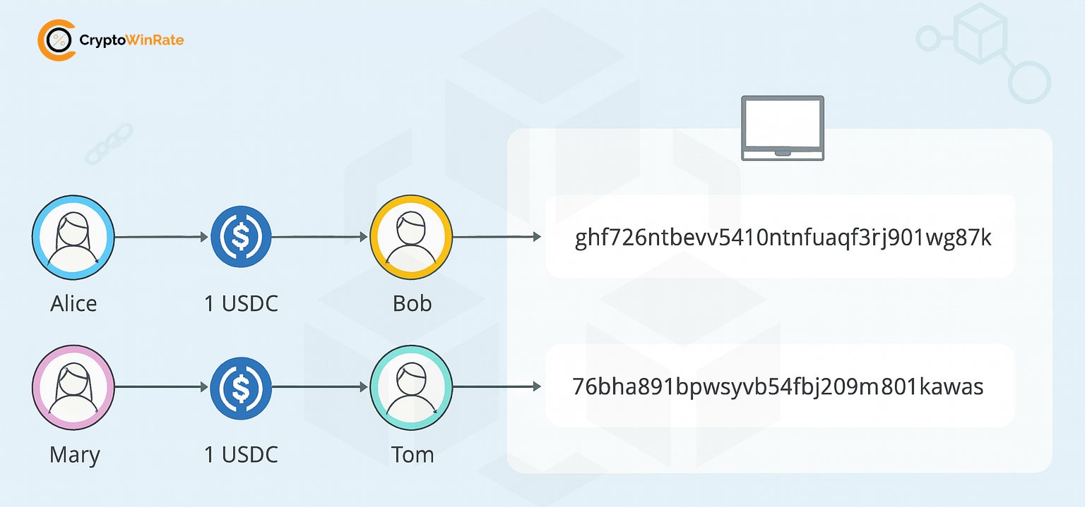 Sui Network