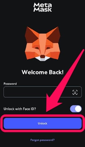 Remove a Network From MetaMask