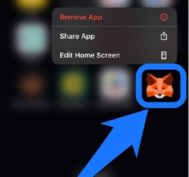 Remove a Network From MetaMask