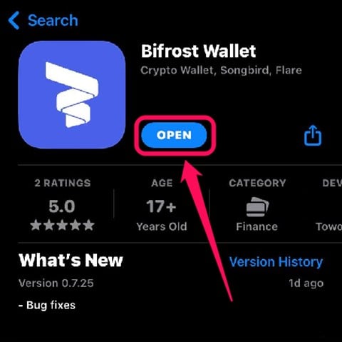 Get Started With Bifrost Wallet