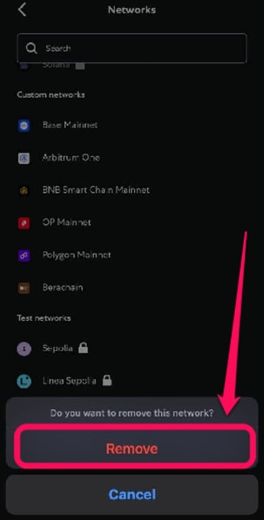 Remove a Network From MetaMask