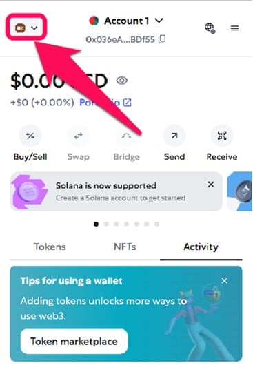 Remove a Network From MetaMask