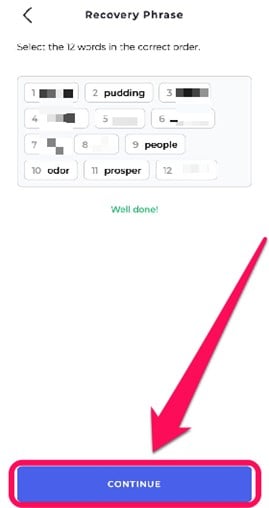 Get Started With Bifrost Wallet
