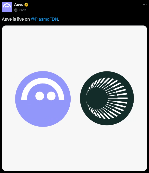 Plasma USDT integration