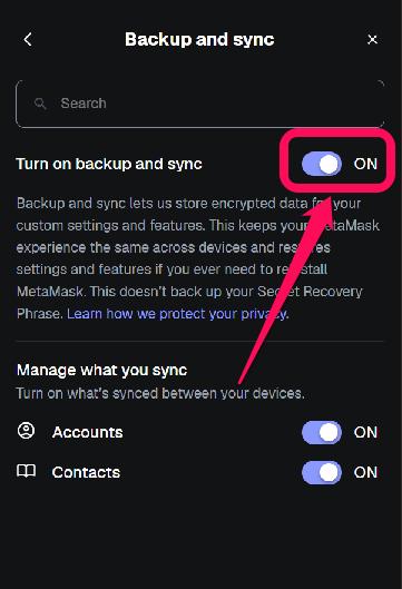 Secure and Back Up Your MetaMask Wallet