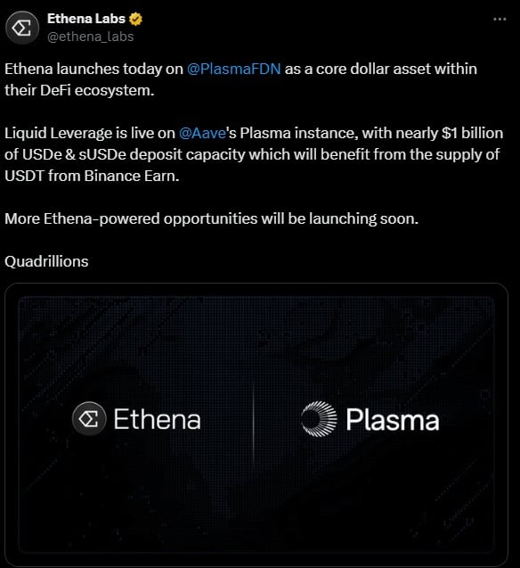 Plasma USDT integration