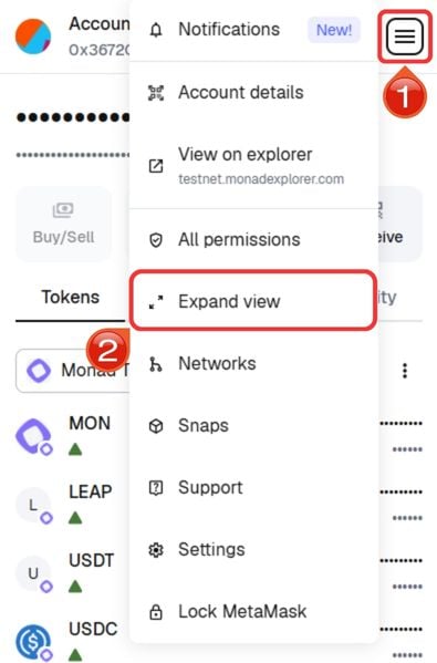 Plasma zu MetaMask hinzufügen