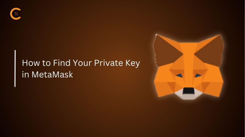 How to Find Your Private Key in MetaMask