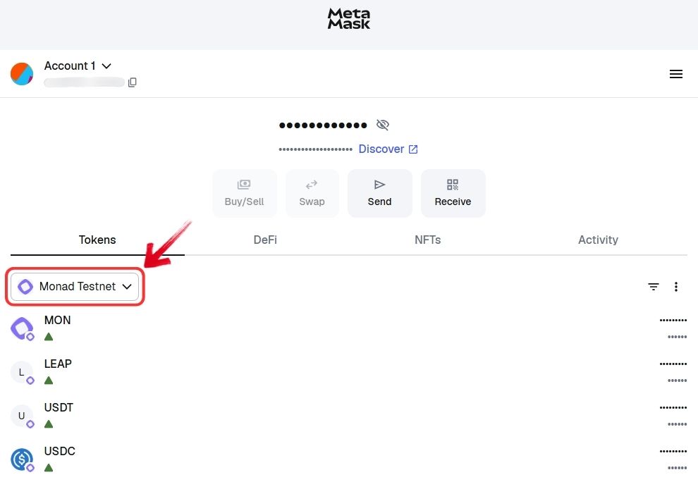 Plasma zu MetaMask hinzufügen