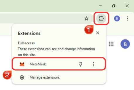 Plasma zu MetaMask hinzufügen