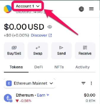 Swap Coins in MetaMask Wallet