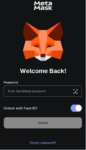 Change Your MetaMask Password Safely