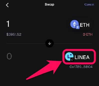 Swap Coins in MetaMask Wallet