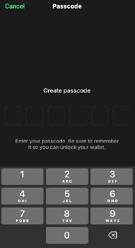 Change Trust Wallet Password