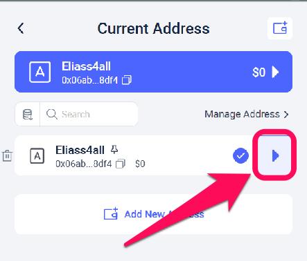 Find Secret Recovery Phrase in Rabby Wallet