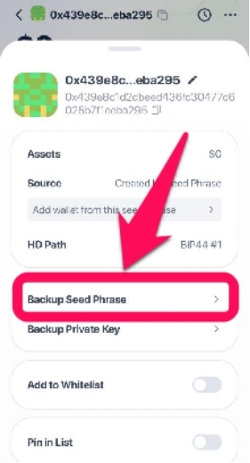Find Secret Recovery Phrase in Rabby Wallet
